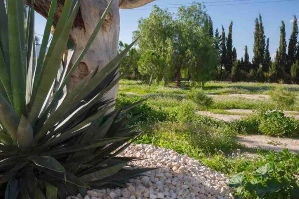 Villa Fina Murcia Exterior foto
